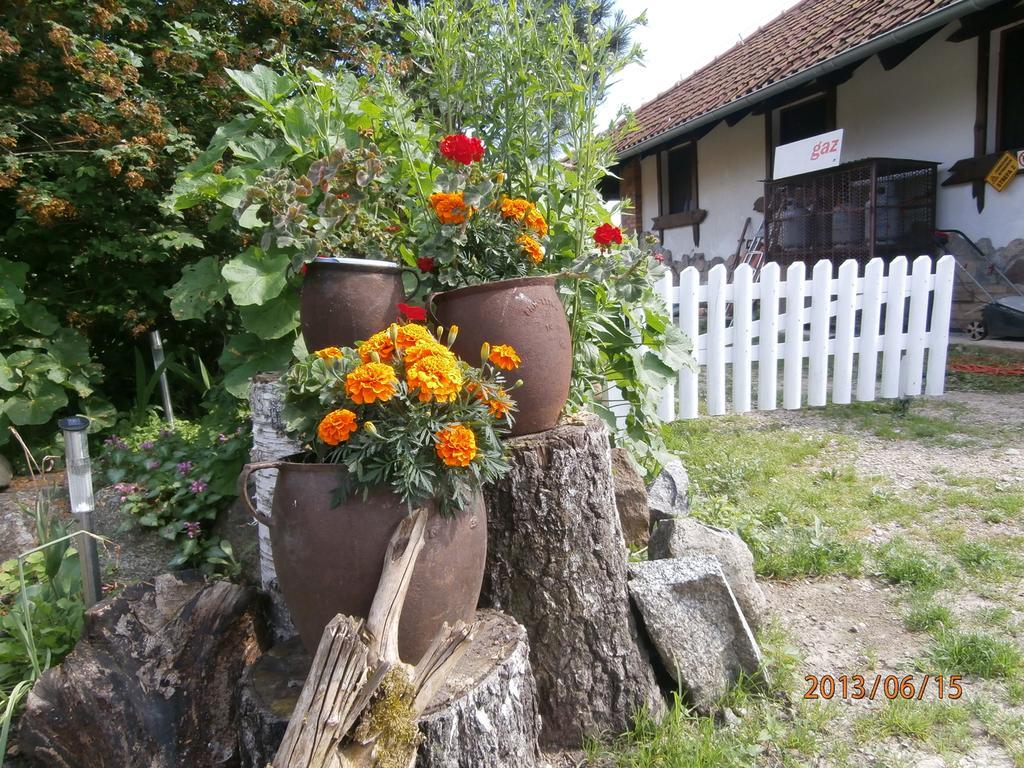 Apartamento Straznica Komtura Mikołajki Exterior foto