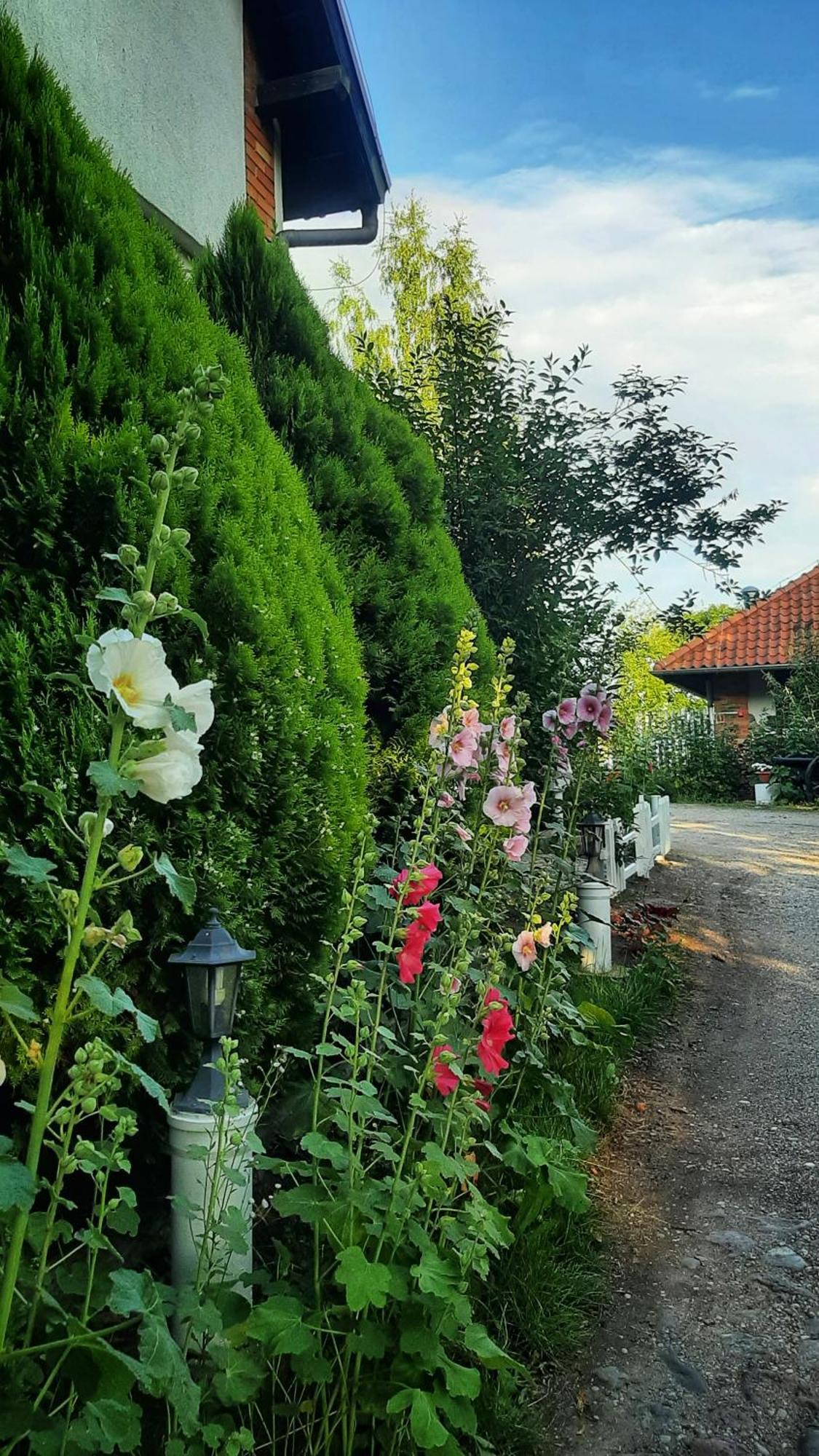 Apartamento Straznica Komtura Mikołajki Exterior foto