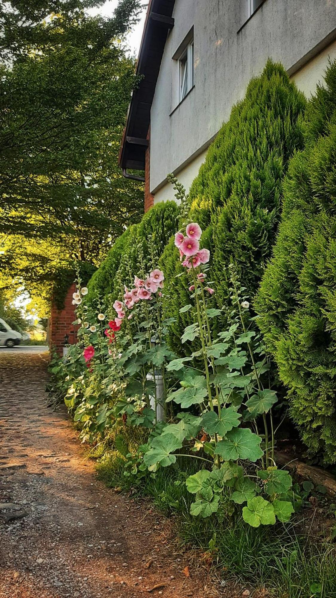 Apartamento Straznica Komtura Mikołajki Exterior foto