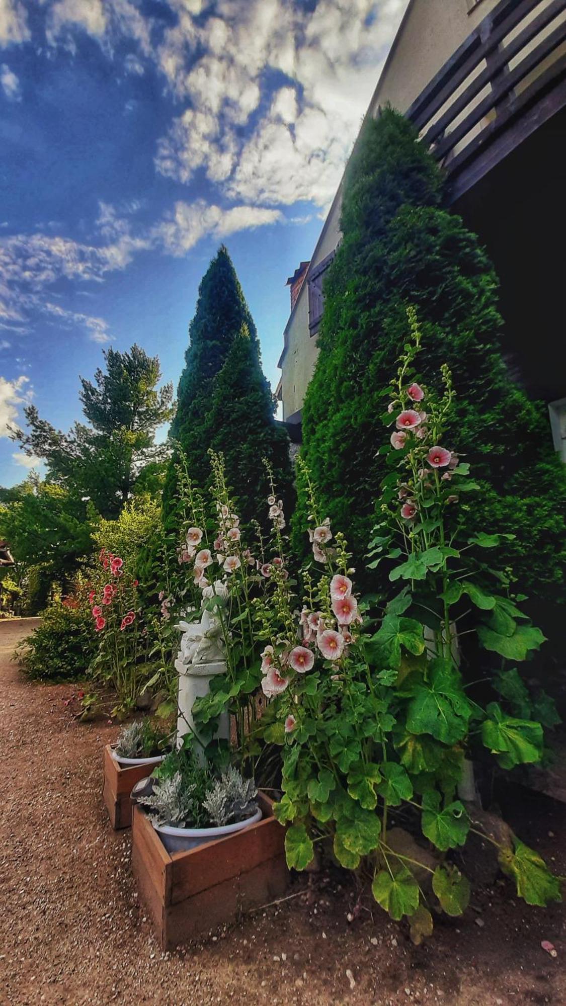 Apartamento Straznica Komtura Mikołajki Exterior foto